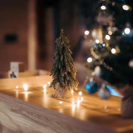 Helena -apartman 2 Nova Varoš