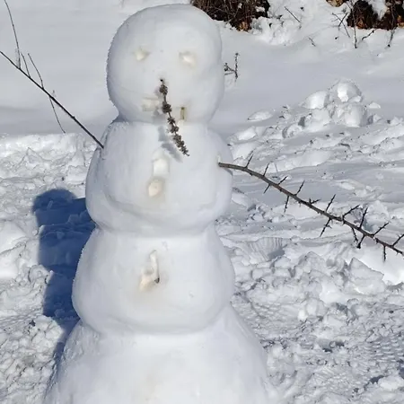 Apartament Helena -apartman 2 Nova Varoš