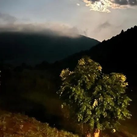 Apartament Helena -apartman 2